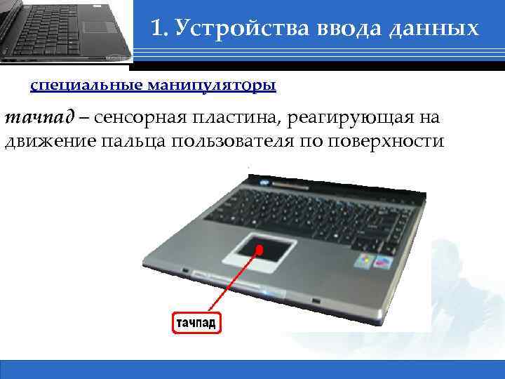 1. Устройства ввода данных специальные манипуляторы тачпад – сенсорная пластина, реагирующая на движение пальца