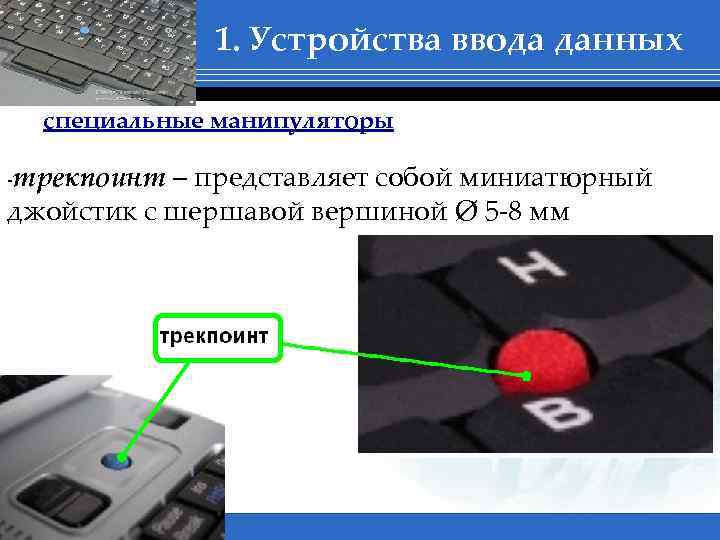 1. Устройства ввода данных специальные манипуляторы -трекпоинт – представляет собой миниатюрный джойстик с шершавой