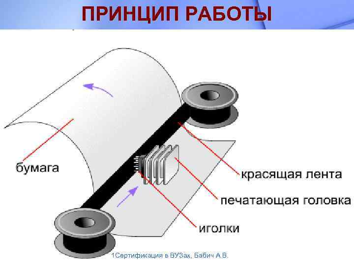 ПРИНЦИП РАБОТЫ 1 Сертификация в ВУЗах, Бабич А. В. 