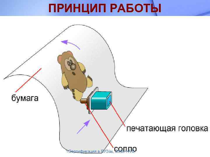 ПРИНЦИП РАБОТЫ 1 Сертификация в ВУЗах, Бабич А. В. 