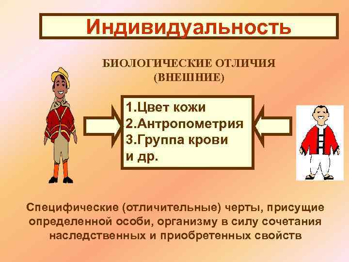  Индивидуальность БИОЛОГИЧЕСКИЕ ОТЛИЧИЯ (ВНЕШНИЕ) 1. Цвет кожи 2. Антропометрия 3. Группа крови и