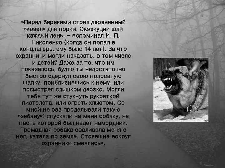  «Перед бараками стоял деревянный «козел» для порки. Экзекуции шли каждый день, - вспоминал