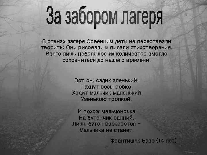 В стенах лагеря Освенцим дети не переставали творить: Они рисовали и писали стихотворения. Всего