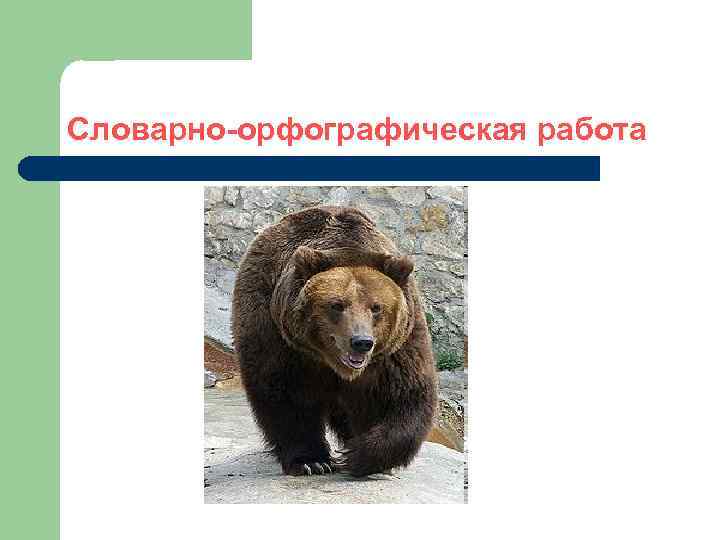 Словарно-орфографическая работа 