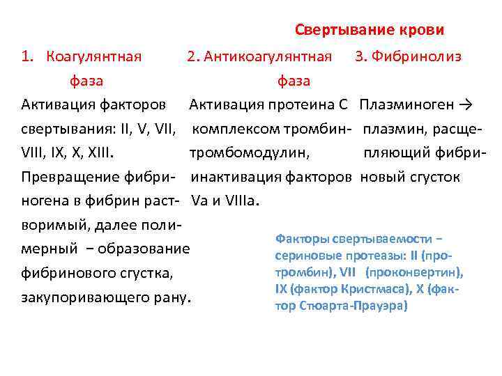 Свертывание крови 1. Коагулянтная 2. Антикоагулянтная 3. Фибринолиз фаза Активация факторов Активация протеина С