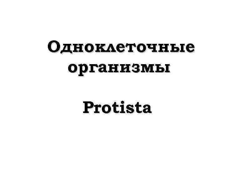 Одноклеточные организмы Protista 