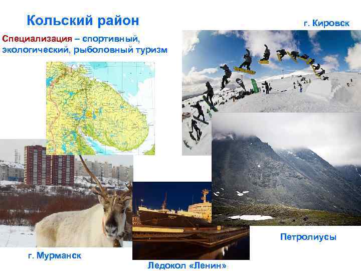 Кольский район г. Кировск Специализация – спортивный, экологический, рыболовный туризм Петролиусы г. Мурманск Ледокол
