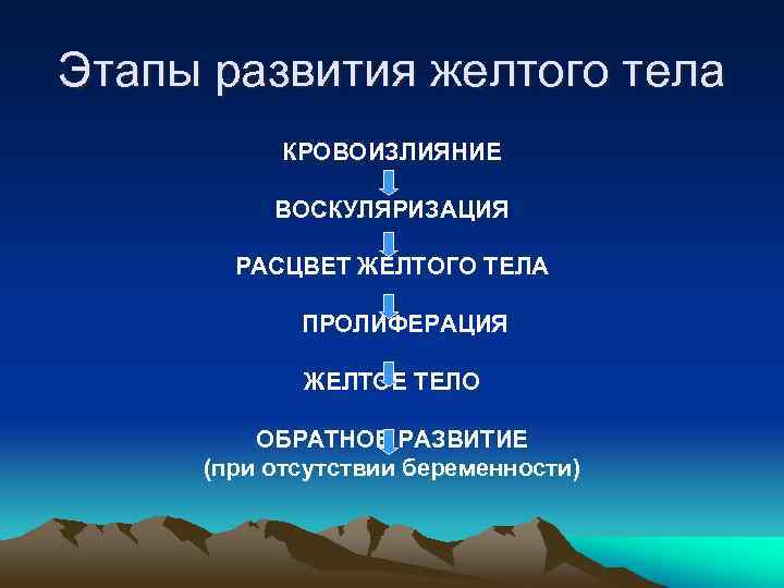 Этапы развития желтого тела КРОВОИЗЛИЯНИЕ ВОСКУЛЯРИЗАЦИЯ РАСЦВЕТ ЖЕЛТОГО ТЕЛА ПРОЛИФЕРАЦИЯ ЖЕЛТОЕ ТЕЛО ОБРАТНОЕ РАЗВИТИЕ