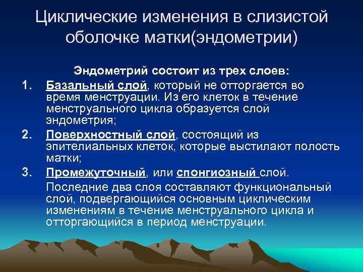 Циклические изменения в слизистой оболочке матки(эндометрии) 1. 2. 3. Эндометрий состоит из трех слоев: