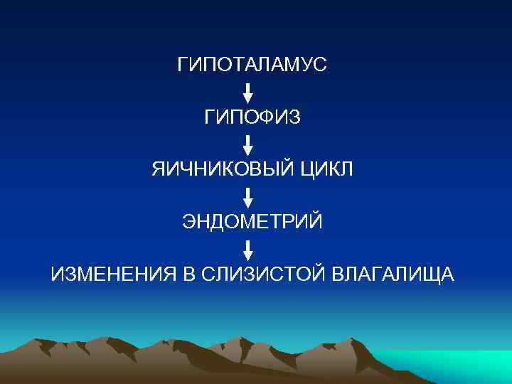 ГИПОТАЛАМУС ГИПОФИЗ ЯИЧНИКОВЫЙ ЦИКЛ ЭНДОМЕТРИЙ ИЗМЕНЕНИЯ В СЛИЗИСТОЙ ВЛАГАЛИЩА 