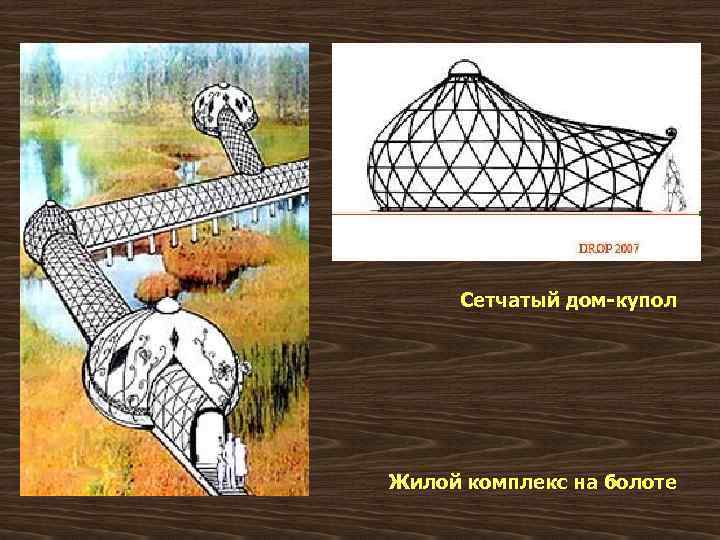 Сетчатый дом-купол Жилой комплекс на болоте 