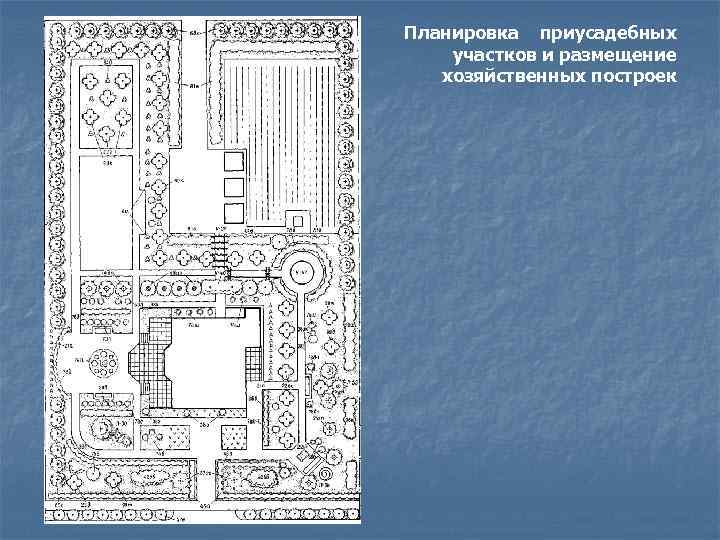 Планировка приусадебных участков и размещение хозяйственных построек 