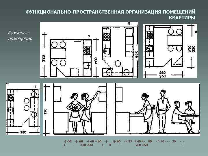 Уровень пространственной организации