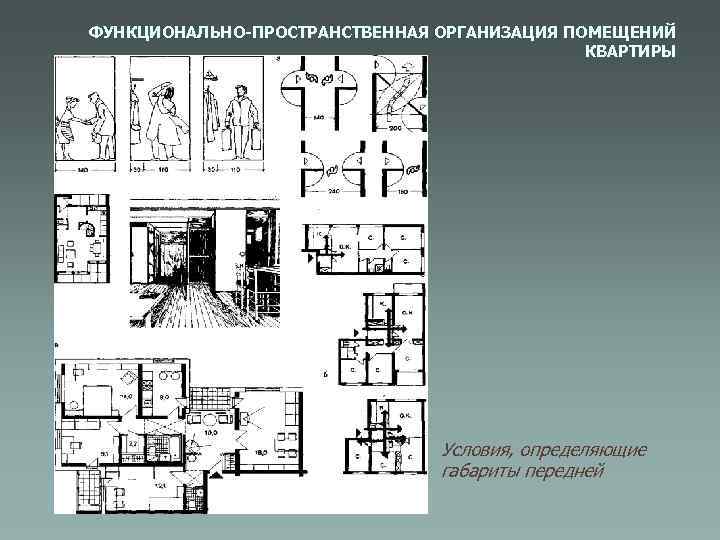 ФУНКЦИОНАЛЬНО-ПРОСТРАНСТВЕННАЯ ОРГАНИЗАЦИЯ ПОМЕЩЕНИЙ КВАРТИРЫ Условия, определяющие габариты передней 