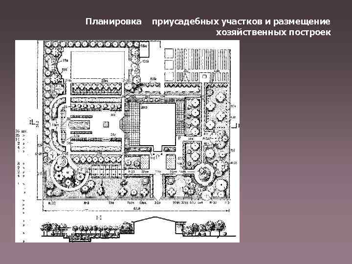Планировка приусадебных участков и размещение хозяйственных построек 
