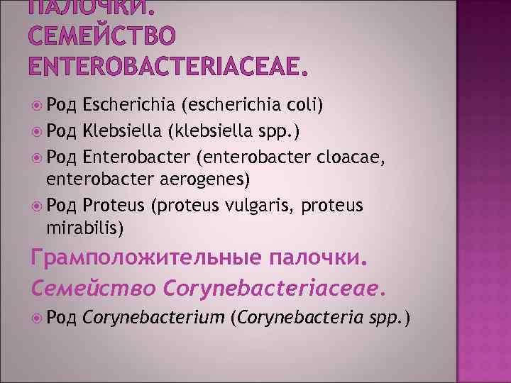 ПАЛОЧКИ. СЕМЕЙСТВО ENTEROBACTERIACEAE. Род Escherichia (escherichia coli) Род Klebsiella (klebsiella spp. ) Род Enterobacter