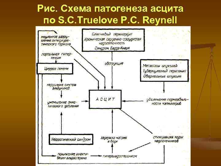 Портальная гипертензия презентация факультетская хирургия