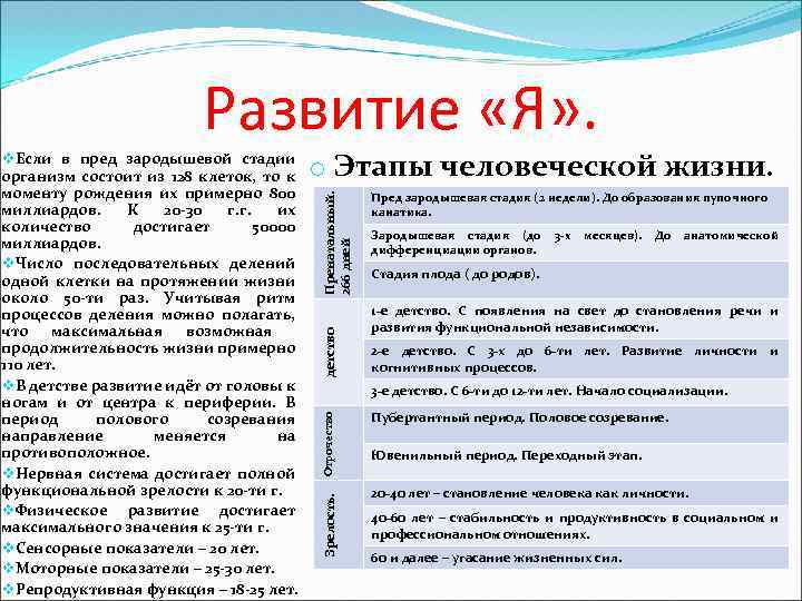 Развитие «Я» . детство Пренатальный. 266 дней o Этапы человеческой жизни. Пред зародышевая стадия