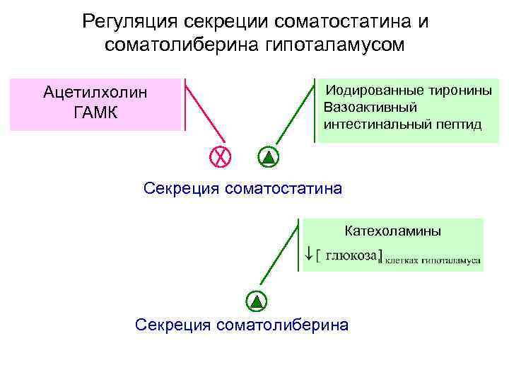 Карта долгосрочных целей по горизонтали содержит