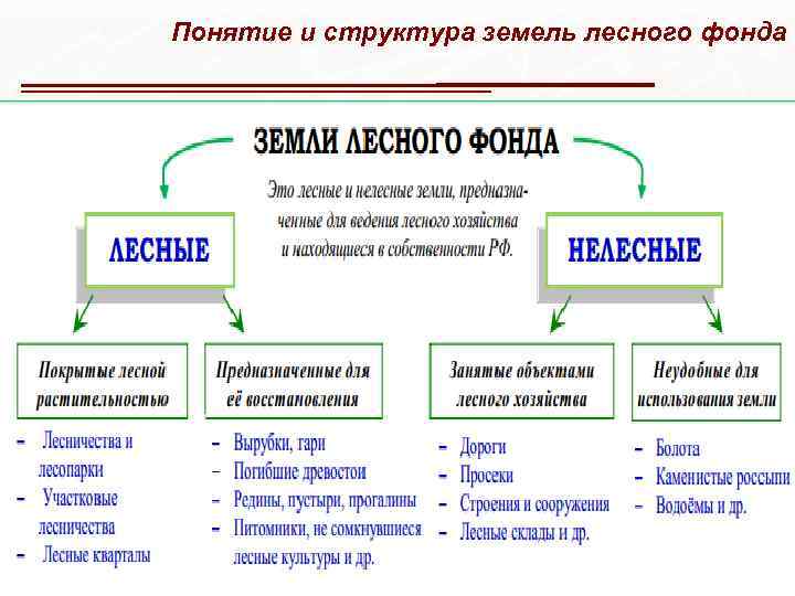 Понятие и структура земель лесного фонда 