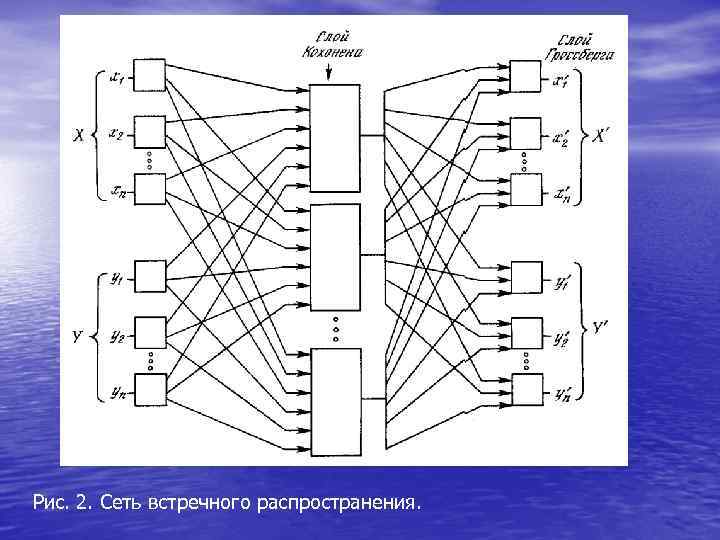 Рис. 2. Сеть встречного распространения. 