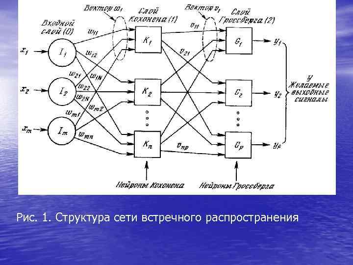 Рис. 1. Структура сети встречного распространения 