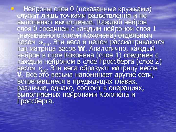  • Нейроны слоя 0 (показанные кружками) служат лишь точками разветвления и не выполняют