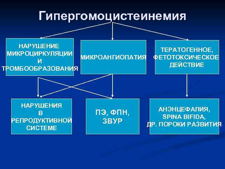 Гипергомоцистеинемия НАРУШЕНИЕ МИКРОЦИРКУЛЯЦИИ МИКРОАНГИОПАТИЯ И ТРОМБООБРАЗОВАНИЯ НАРУШЕНИЯ В РЕПРОДУКТИВНОЙ СИСТЕМЕ ПЭ, ФПН, ЗВУР ТЕРАТОГЕННОЕ,