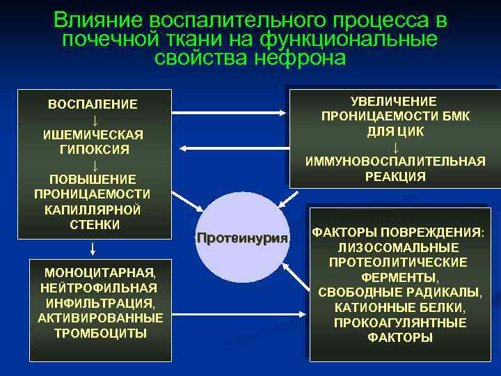Влияние воспалительного процесса в почечной ткани на функциональные свойства нефрона ВОСПАЛЕНИЕ ↓ ИШЕМИЧЕСКАЯ ГИПОКСИЯ
