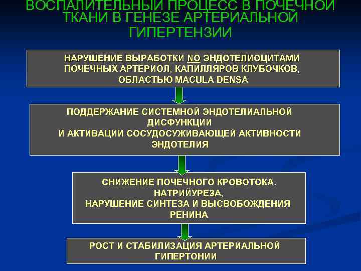 ВОСПАЛИТЕЛЬНЫЙ ПРОЦЕСС В ПОЧЕЧНОЙ ТКАНИ В ГЕНЕЗЕ АРТЕРИАЛЬНОЙ ГИПЕРТЕНЗИИ НАРУШЕНИЕ ВЫРАБОТКИ NO ЭНДОТЕЛИОЦИТАМИ ПОЧЕЧНЫХ