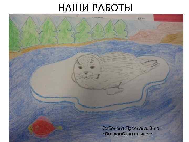 НАШИ РАБОТЫ Соболева Ярослава, 8 лет «Вот камбала плывет» 