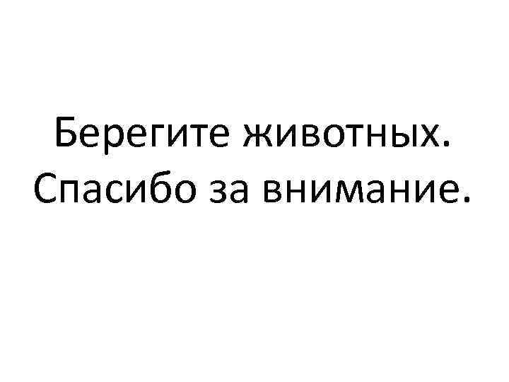 Берегите животных. Спасибо за внимание. 