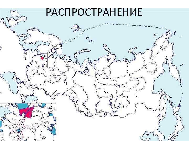 РАСПРОСТРАНЕНИЕ 