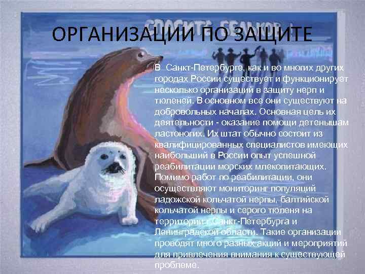 ОРГАНИЗАЦИИ ПО ЗАЩИТЕ В Санкт-Петербурге, как и во многих других городах России существует и