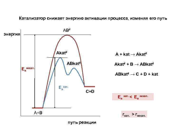 Уменьшенная энергия. Катализатор снижает энергию активации. Энергия активации катализ. Катализаторы уменьшают энергию активации. Катализатор уменьшает энергию активации реакции.
