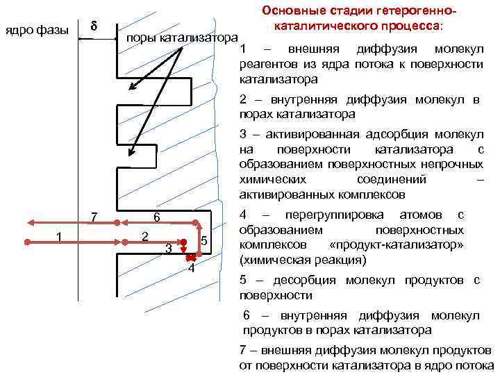 ядро фазы поры катализатора Основные стадии гетерогеннокаталитического процесса: 1 – внешняя диффузия молекул реагентов