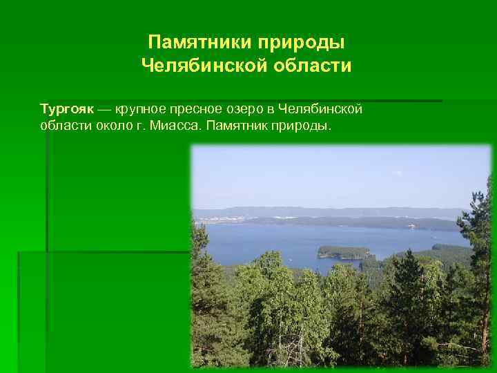 Памятники природы челябинской области презентация