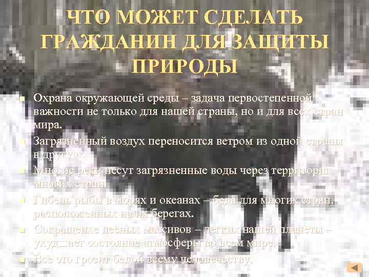 ЧТО МОЖЕТ СДЕЛАТЬ ГРАЖДАНИН ДЛЯ ЗАЩИТЫ ПРИРОДЫ n n n Охрана окружающей среды –