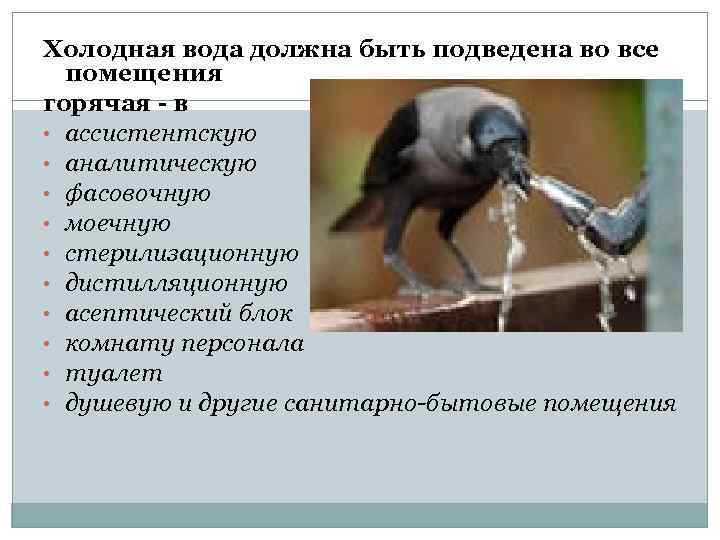 Холодная вода должна быть подведена во все помещения горячая - в • ассистентскую •