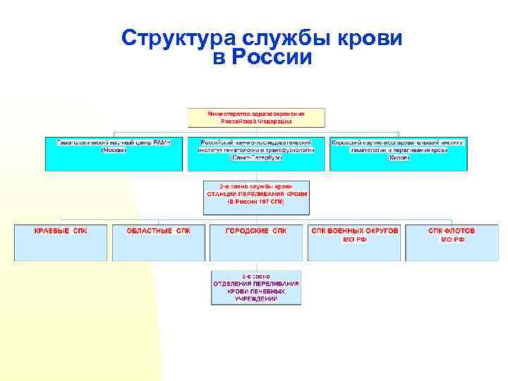 Структура службы крови в России 