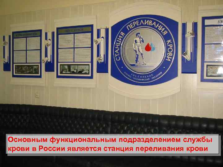 Основным функциональным подразделением службы крови в России является станция переливания крови 