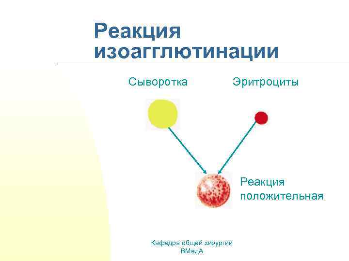 Реакция изоагглютинации Сыворотка Эритроциты Реакция положительная Кафедра общей хирургии ВМед. А 