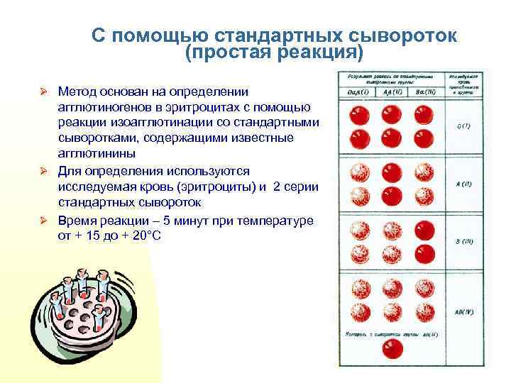 С помощью стандартных сывороток (простая реакция) Ø Метод основан на определении агглютиногенов в эритроцитах