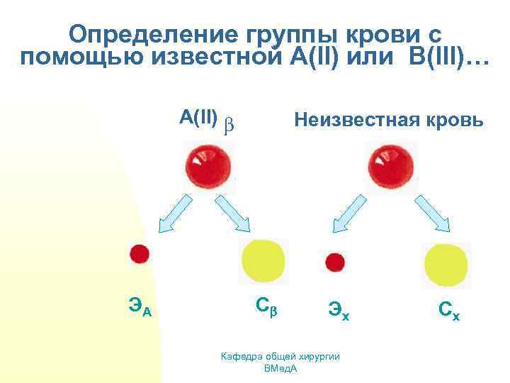 Определение группы крови с помощью известной A(II) или B(III)… A(II) ЭА Неизвестная кровь С