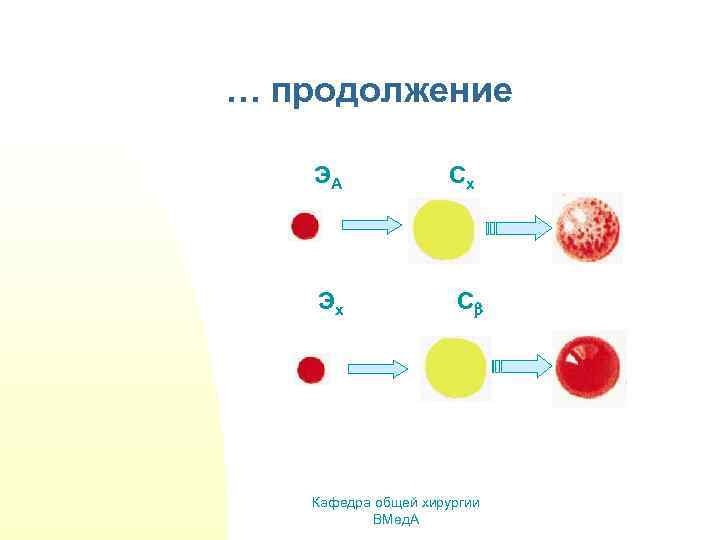 … продолжение ЭА Эх Сх С Кафедра общей хирургии ВМед. А 