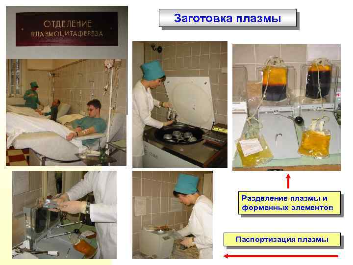 Заготовка плазмы Разделение плазмы и форменных элементов Паспортизация плазмы 