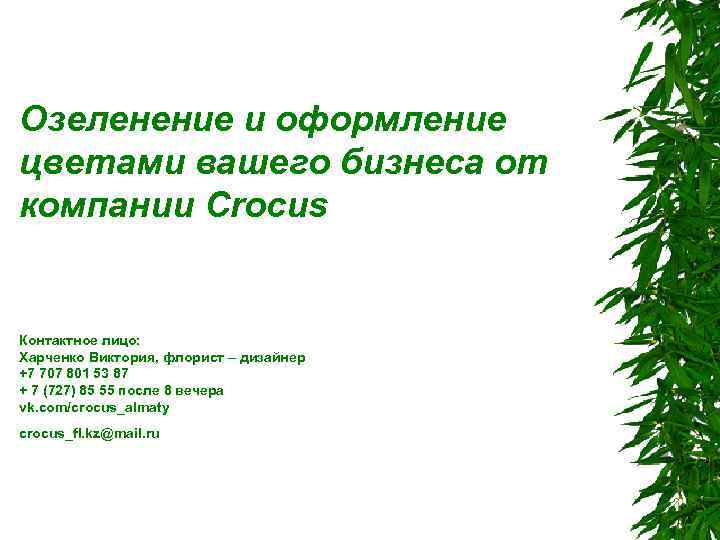 Озеленение и оформление цветами вашего бизнеса от компании Crocus Контактное лицо: Харченко Виктория, флорист