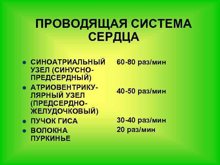 ПРОВОДЯЩАЯ СИСТЕМА СЕРДЦА l l СИНОАТРИАЛЬНЫЙ УЗЕЛ (СИНУСНОПРЕДСЕРДНЫЙ) АТРИОВЕНТРИКУЛЯРНЫЙ УЗЕЛ (ПРЕДСЕРДНОЖЕЛУДОЧКОВЫЙ) ПУЧОК ГИСА ВОЛОКНА