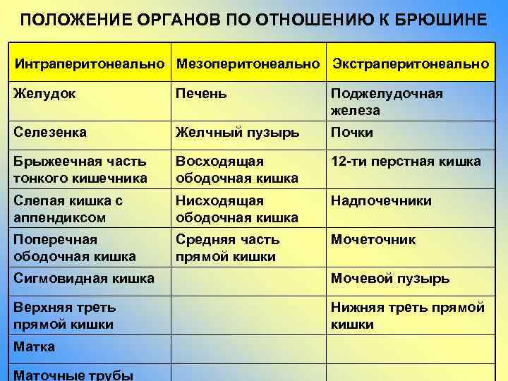 ПОЛОЖЕНИЕ ОРГАНОВ ПО ОТНОШЕНИЮ К БРЮШИНЕ Интраперитонеально Мезоперитонеально Экстраперитонеально Желудок Печень Поджелудочная железа Селезенка