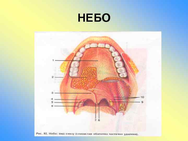 Верхнее Небо Фото